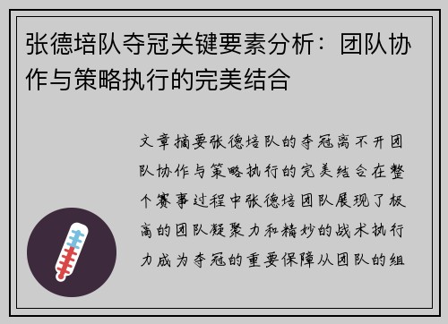 张德培队夺冠关键要素分析：团队协作与策略执行的完美结合