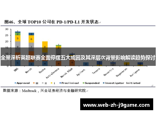 全景深析英超联赛全面停摆五大成因及其深层次背景影响解读趋势探讨